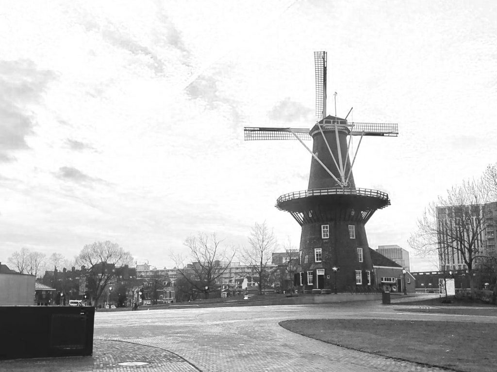 Wandelcoaching Leiden 4 Wandelcoaching Leiden 4
