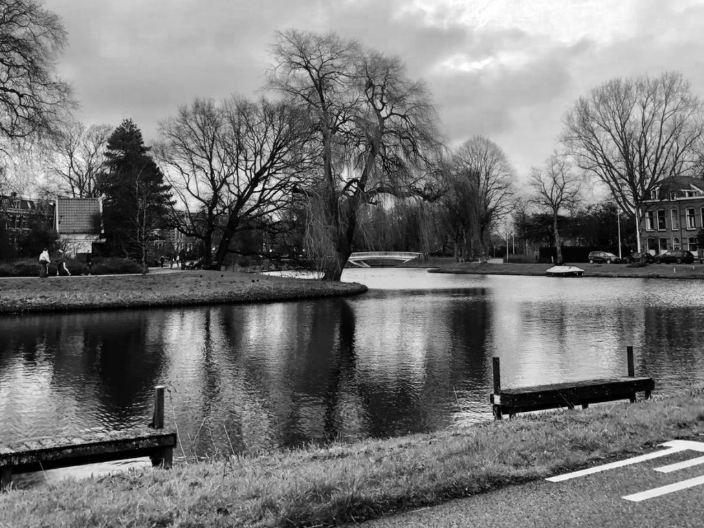 Wandelcoaching Leiden 5 Wandelcoaching Leiden 5