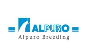 Alpuro Alpuro